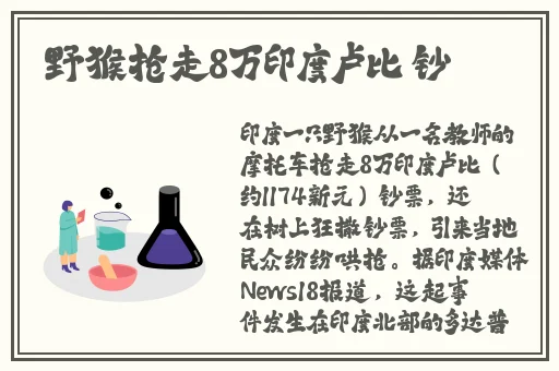 整篇都是车的多肉